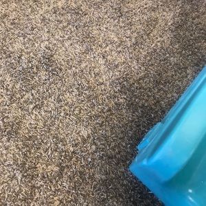 Meet your Posher, Morgan